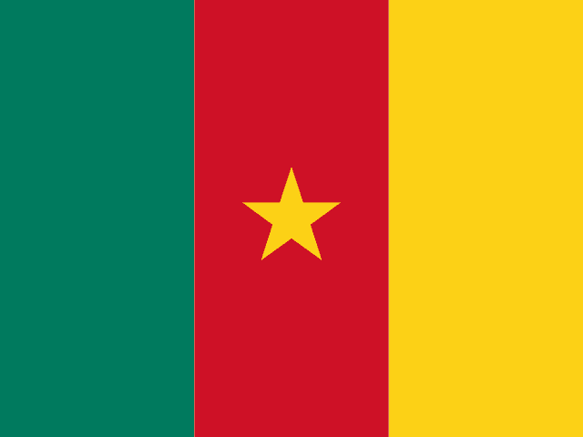 Flag of Cameroon